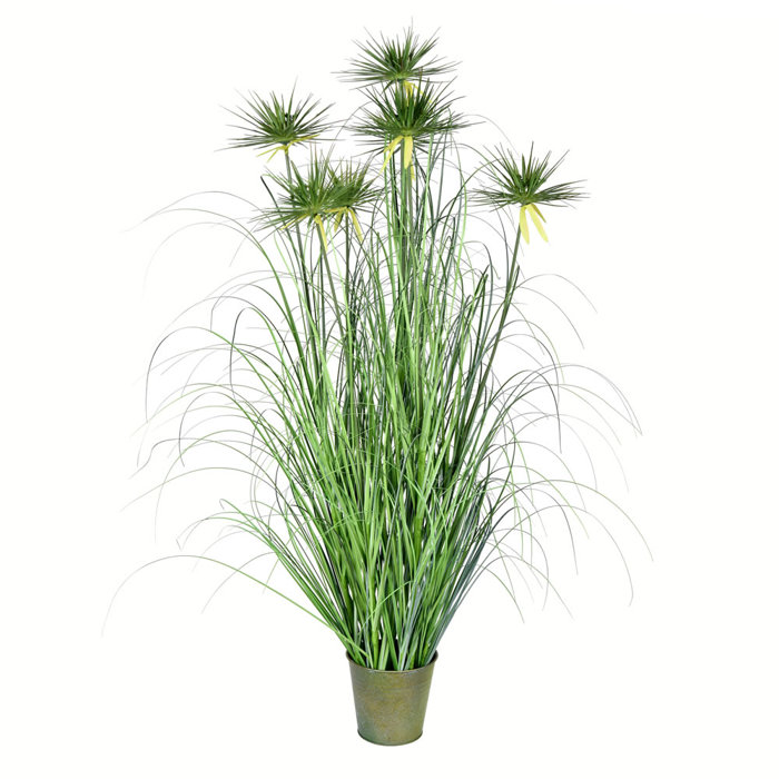 Beachcrest Home Artificial Cypress Grass in Pot & Reviews Wayfair